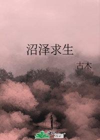 第三根蜡烛--男主日记